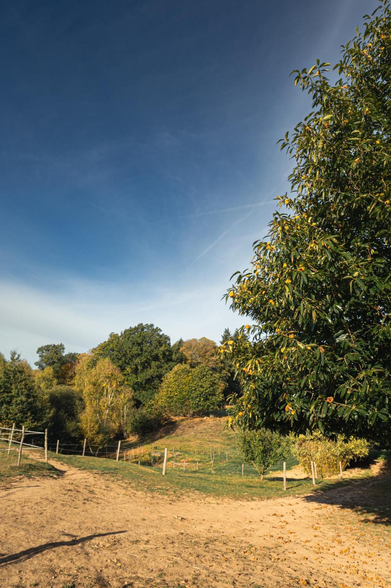 فندق Domaine Abbey-Rose Champsac المظهر الخارجي الصورة