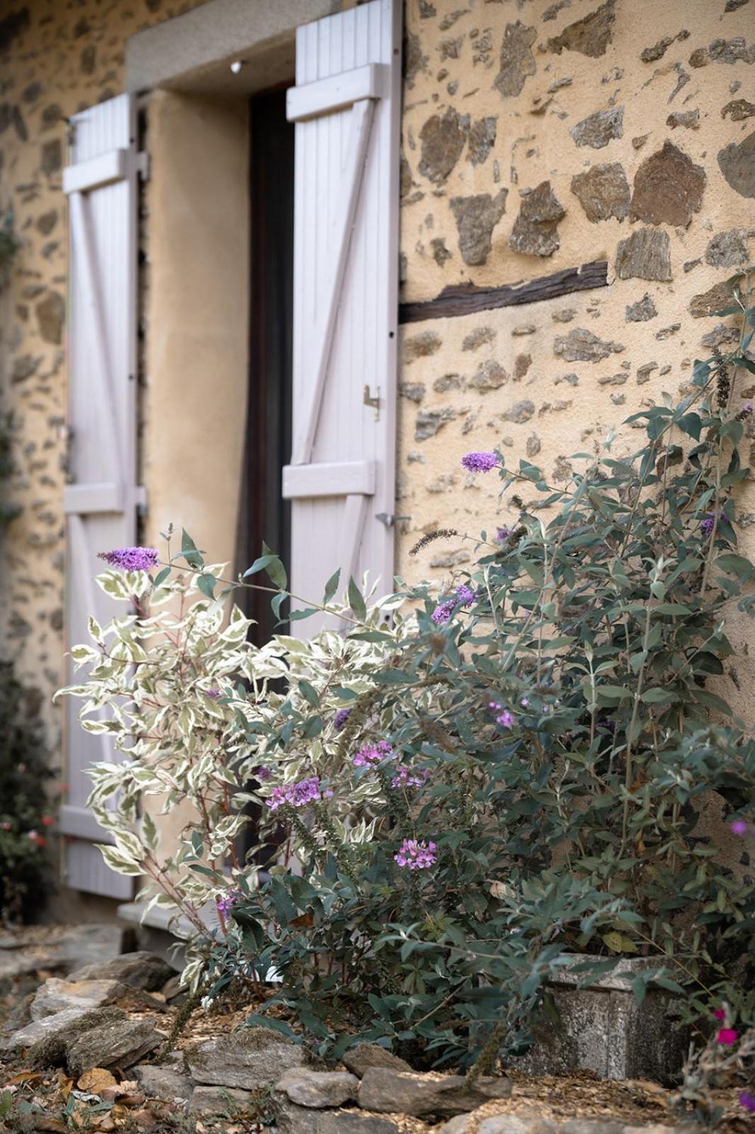 فندق Domaine Abbey-Rose Champsac المظهر الخارجي الصورة